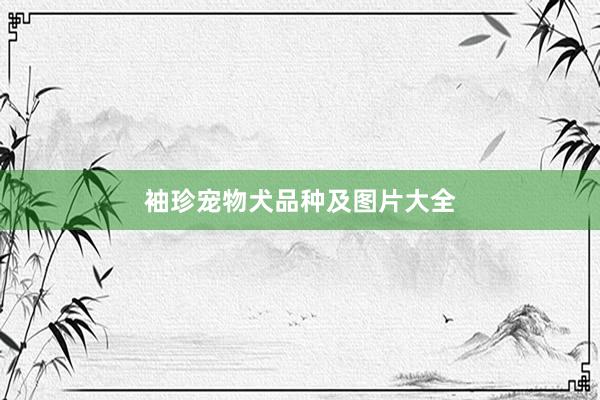 袖珍宠物犬品种及图片大全