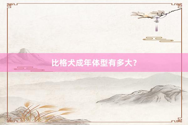 比格犬成年体型有多大？