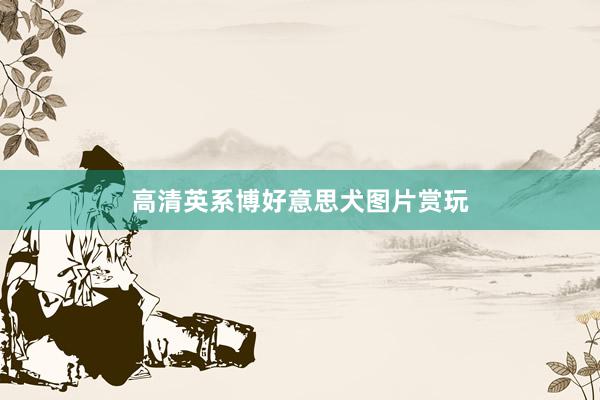 高清英系博好意思犬图片赏玩